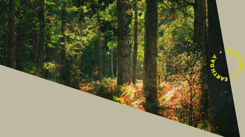 HOW TO BE A MORE SUSTAINABLE CREATOR