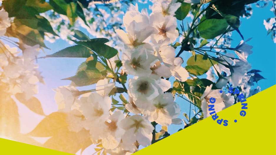 DISCOVER COPYRIGHT-FREE MUSIC FOR SPRING